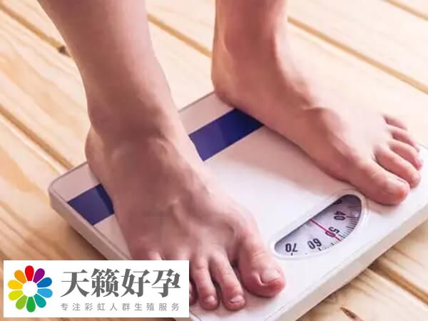 肥胖患者做試管建議先減肥