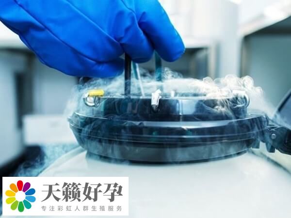 試管嬰兒的胚胎分為幾種