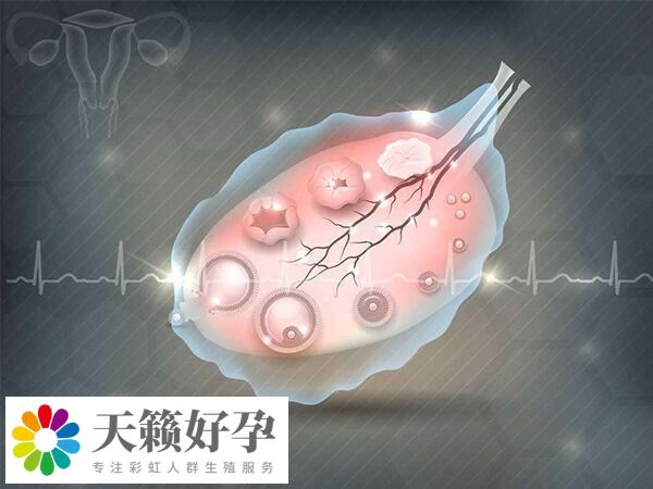 取卵的第四天用勁小腹疼不疼