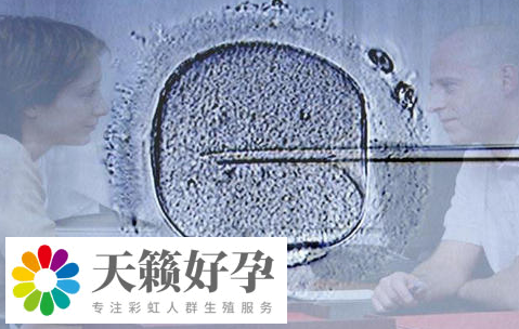 試管嬰兒促排卵方案選擇，沒有月經(jīng)也能助你好孕