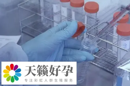 重慶生育中心醫院做三代試管嬰兒生子比較好還是重慶做三代試管嬰兒生子醫院好?
