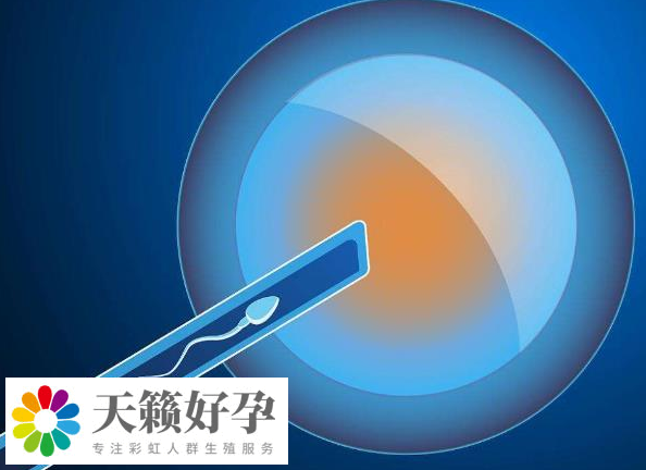 在上海做三代試管嬰兒生子哪家醫院比較好