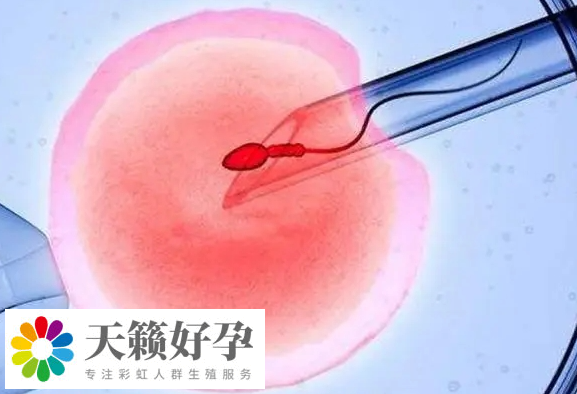 囊胚移植2天成功的征兆有哪些?瀏覽量5 評論0