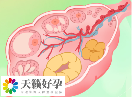 連續促排三個月就必須停了嗎?