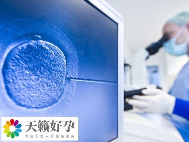 三代試管技術的核心是篩選出最優質胚胎