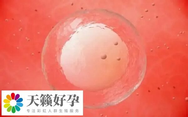 胚胎冷凍適用對象有哪些