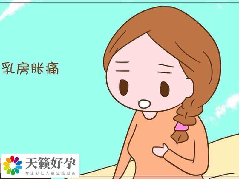 胚胎移植后著床會(huì)有這些感覺(jué)！輕微出血、腰酸等最為常見(jiàn)