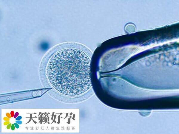 在試管促排中卵泡大小為27*21說明卵子質(zhì)量好嗎？
