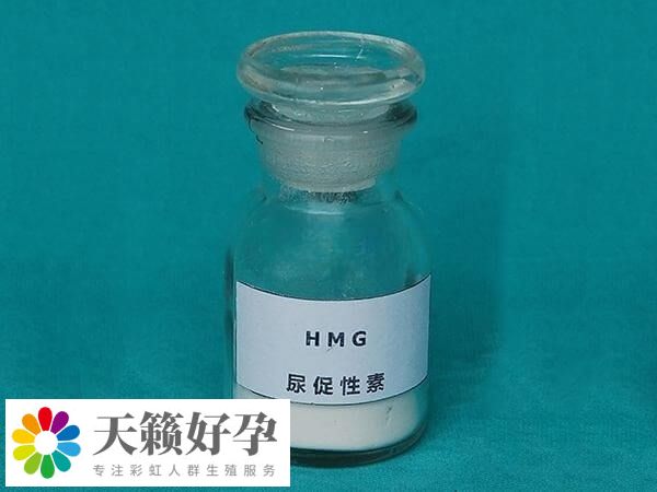 促排對尿促一點不敏感是怎么回事