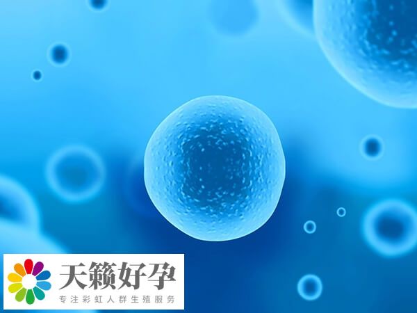 國內(nèi)助孕機構(gòu)騙局是什么