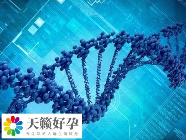 國外試管嬰兒可不可以選擇孩子性別