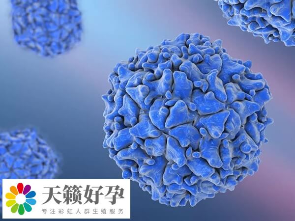 同性戀通過骨髓生育技術成功懷孕的消息是真的嗎？