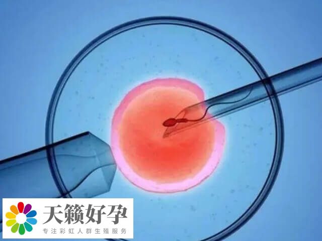 單性別生育的設想不能應用于臨床