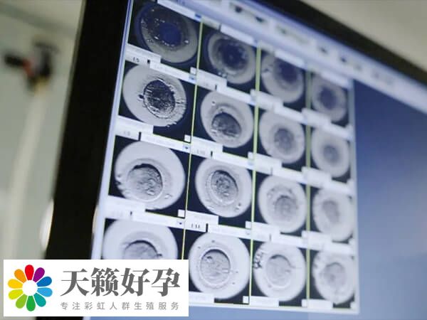 如果都是四級胚胎怎么辦