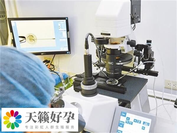 泰國杰特寧醫院成功率多高