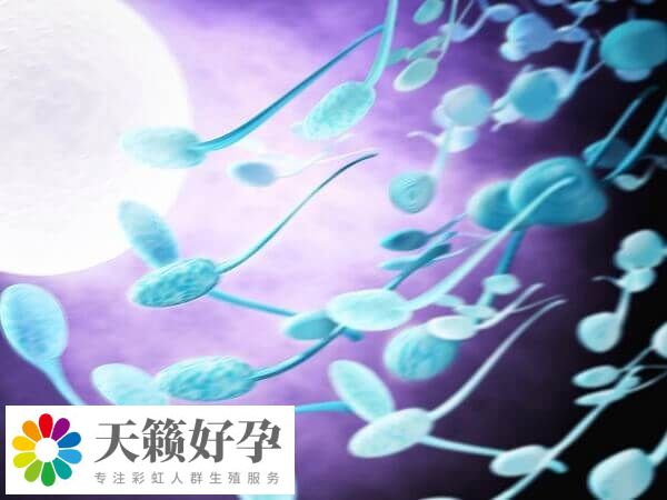 年齡是影響試管成功率的重要因素之一