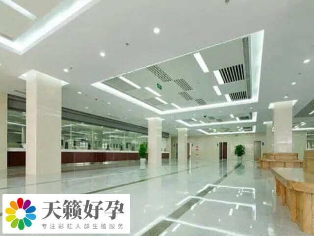 試管能移植兩個(gè)懷雙胞胎