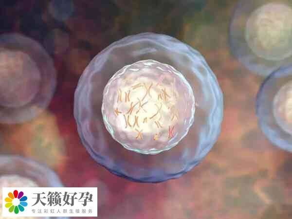 45歲試管移植前如何調理身體